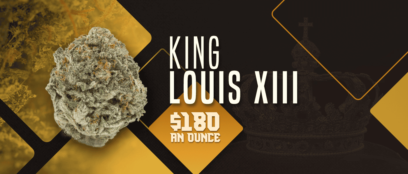 King-Louis-XII-v2-1