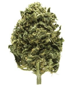 Snowcap Strain